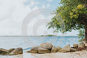 Aruba beach tropical island savaneta