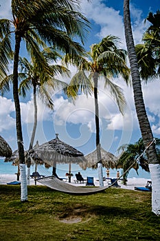 Aruba Caribbean Hammock on the beach with palm trees