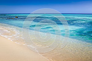 Aruba idyllic caribbean beach at sunny day, Dutch Antilles, Caribbean Sea