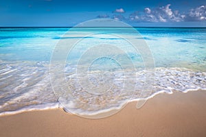 Aruba idyllic caribbean beach at sunny day, Dutch Antilles, Caribbean Sea