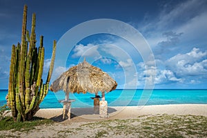 Aruba idyllic caribbean beach at sunny day with rustic palapa, Dutch Antilles