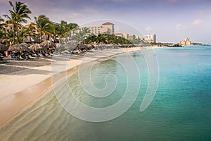 Aruba idyllic caribbean palm beach at sunny day, Dutch Antilles, Caribbean Sea