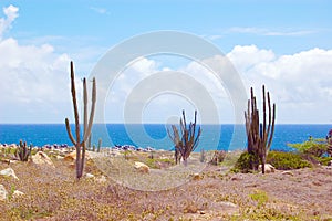 Aruba Landscape