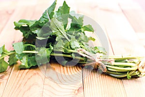 Arugula