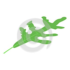 Arugula diet leaf icon, isometric style