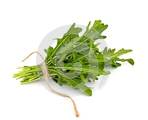 Arugula photo