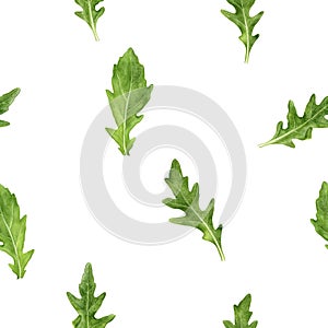 Arugula leaf watercolor illustration seamless pattern.