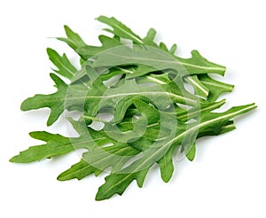 Arugula leaves photo