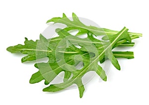 Arugula leaves