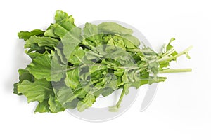 Arugula Leaves. Rucula