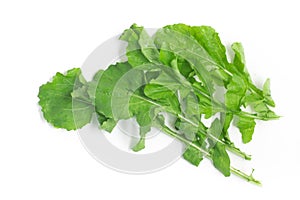 Arugula Leaves. Rucula
