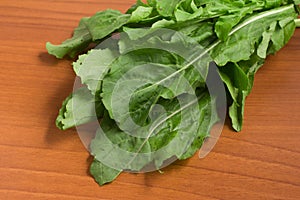 Arugula Leaves. Rucula