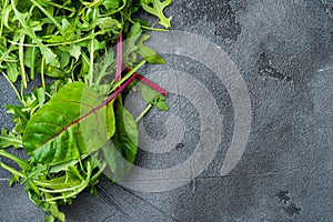 Arugula raab and Mangold, Swiss chard set, on gray stone background, top view flat lay, with copy space for text photo