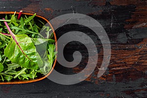 Arugula raab and Mangold, Swiss chard set, on old dark  wooden table background, top view flat lay, with copy space for text photo