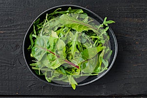 Arugula raab and Mangold, Swiss chard set, on black wooden table background, top view flat lay photo