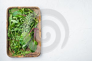Arugula raab and Mangold, Swiss chard set, on white stone  background, top view flat lay, with copy space for text photo