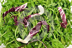 arugula with radicchio