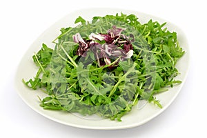 arugula with radicchio