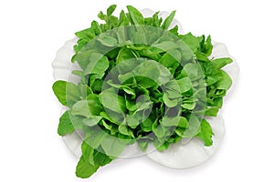 Arugula salad photo