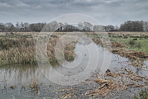 Arun Wildbrooks Floodplain