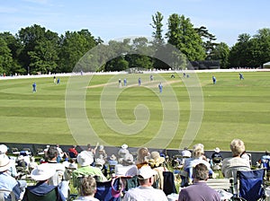 Arundel cricket photo