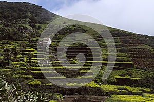 Arure is one of the most important architectural complexes of the west slope of La Gomera.