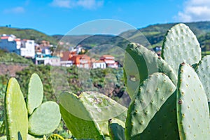 Arure village at La Gomera, Canary Islands, Spain