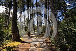 Arvi park in Medellin is a popular tourist dest