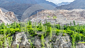 The Aryan valley, Batalik sector, Ladakh, India