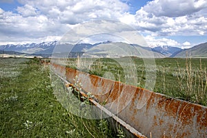 Aryk pecked by lichen on a green valley on a background of hills and mountains with snowy peaks