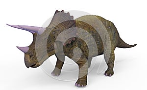 The legendary Triceratops. 3D Illustration