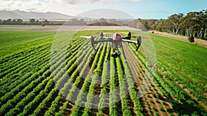 as drones hover over vast fields, monitoring crop health and optimizing yields in a realistic depiction of modern