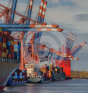 Aerial view on container terminal  Hamburg  Germany  Europe.