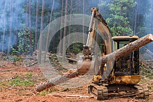 As part of the deforestation process, a tractor manipulator lifts logs from trees and uproots them to prepare the land