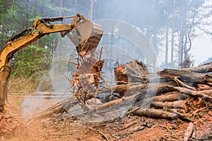 As part of preparation for construction of a residential complex, excavators tractors are uprooting trees