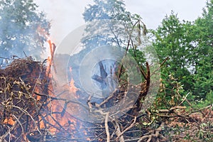 As part of the process of developing land for construction, the forest is uprooted and burned to make way for the