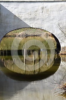 Reflection of sky and trees in the fish pond in the garden