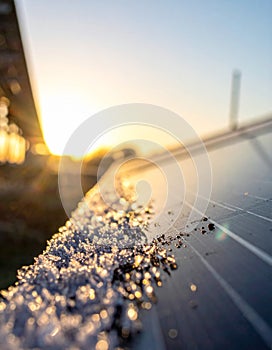 Icy Solar Panel at Sunrise