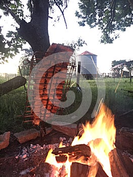 Asado de campo / countryside barbecue - pampa Argentina
