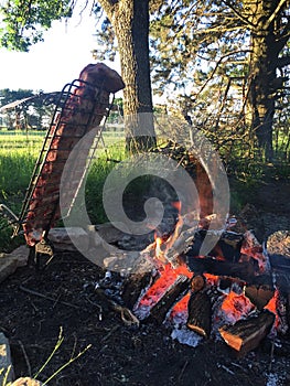 Asado de campo / countryside barbecue - pampa Argentina photo
