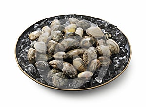 Asari clams on a white background