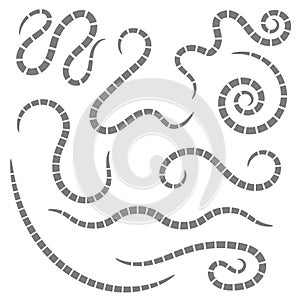 Ascarid, Helminth, Pinworm, Threadworm. Parasite Isolated on White Background photo