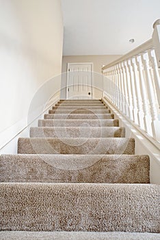 Ascending Carpeted Open Staircase in Neutral Colors