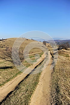 Ascending dirt road