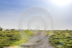 Ascending dirt road in green meadow with blue sky