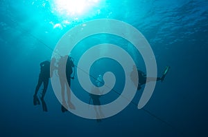 Ascending Scuba Divers