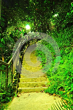 Ascending walkway at Labrador park photo