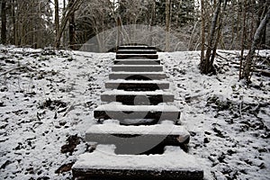 Ascending Winter\'s Stairs: Snowy Forest Passage in Pokainu Mezs, Dobele, Latvija