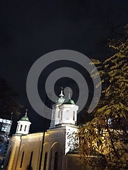 The Ascension Church in Belgrade by night, portrait orientation