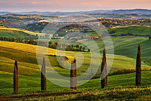Asciano, landscape in Tuscany, near the Siana and Pienza, Sunrise morning in Italy. Idyllic view on hilly meadow in Tuscany in